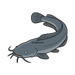 catfish icon